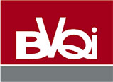 logo bvqi